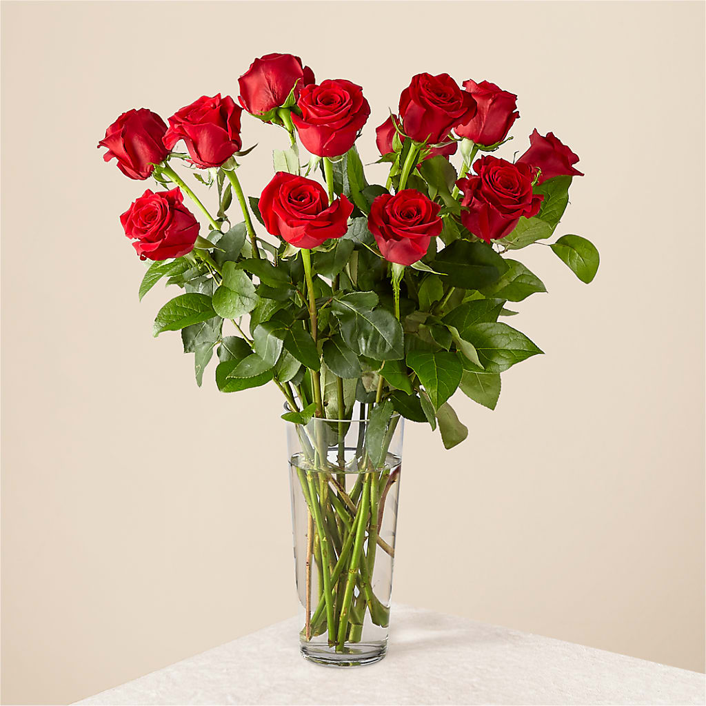 Long Stem Red Rose Bouquet – HOORAY'S FROM HOLLYWOOD, Hollywood FL