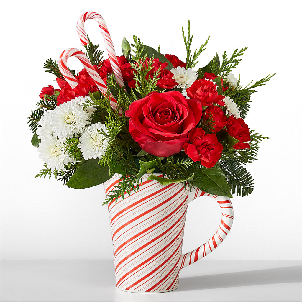 Peppermint Swirl Mug – HOORAY'S FROM HOLLYWOOD, Hollywood FL