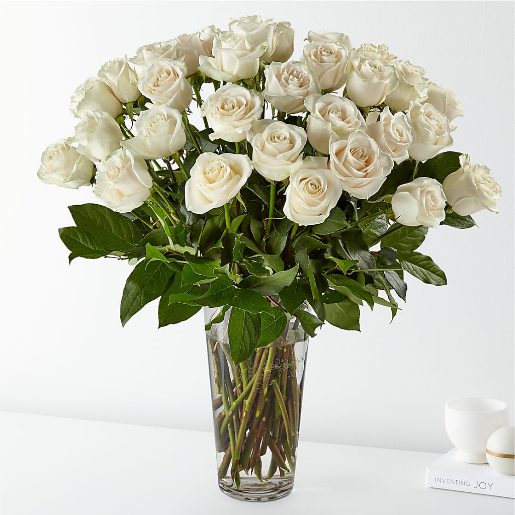 Long Stem White Rose Bouquet – HOORAY'S FROM HOLLYWOOD, Hollywood FL