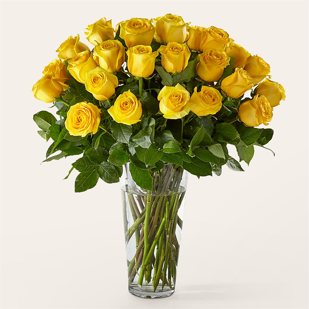 Long Stem Yellow Rose Bouquet – HOORAY'S FROM HOLLYWOOD, Hollywood FL