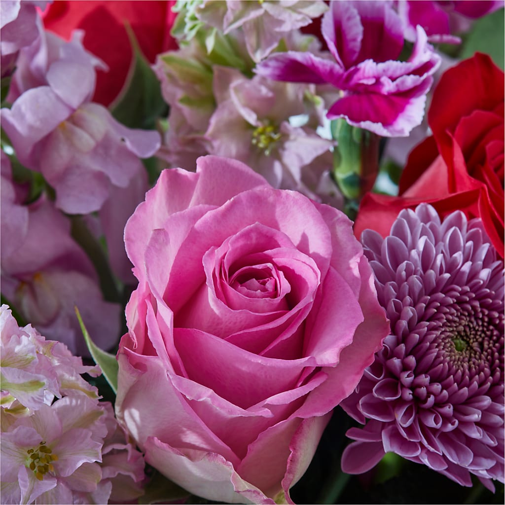 Better Together - A Luxury Florist Original – HOORAY'S FROM HOLLYWOOD, Hollywood FL