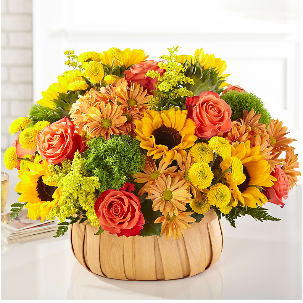 Harvest Sunflower Basket – HOORAY'S FROM HOLLYWOOD, Hollywood FL