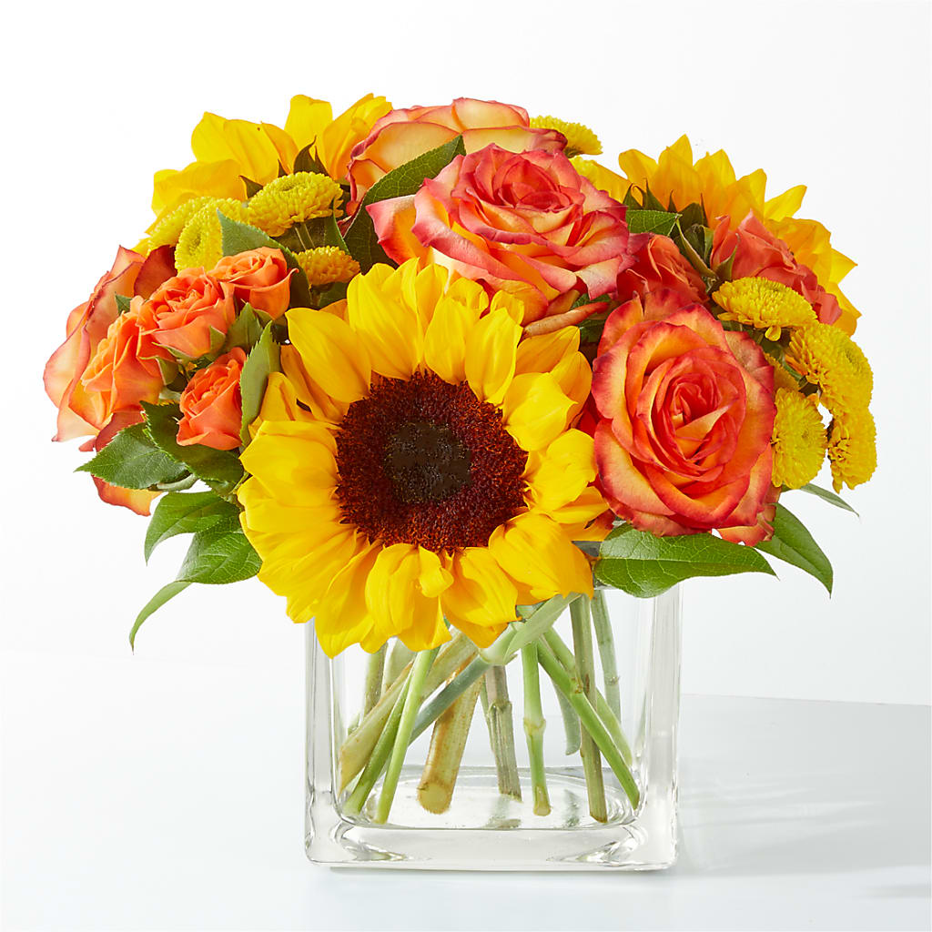 Picnic in the Park Bouquet – HOORAY'S FROM HOLLYWOOD, Hollywood FL