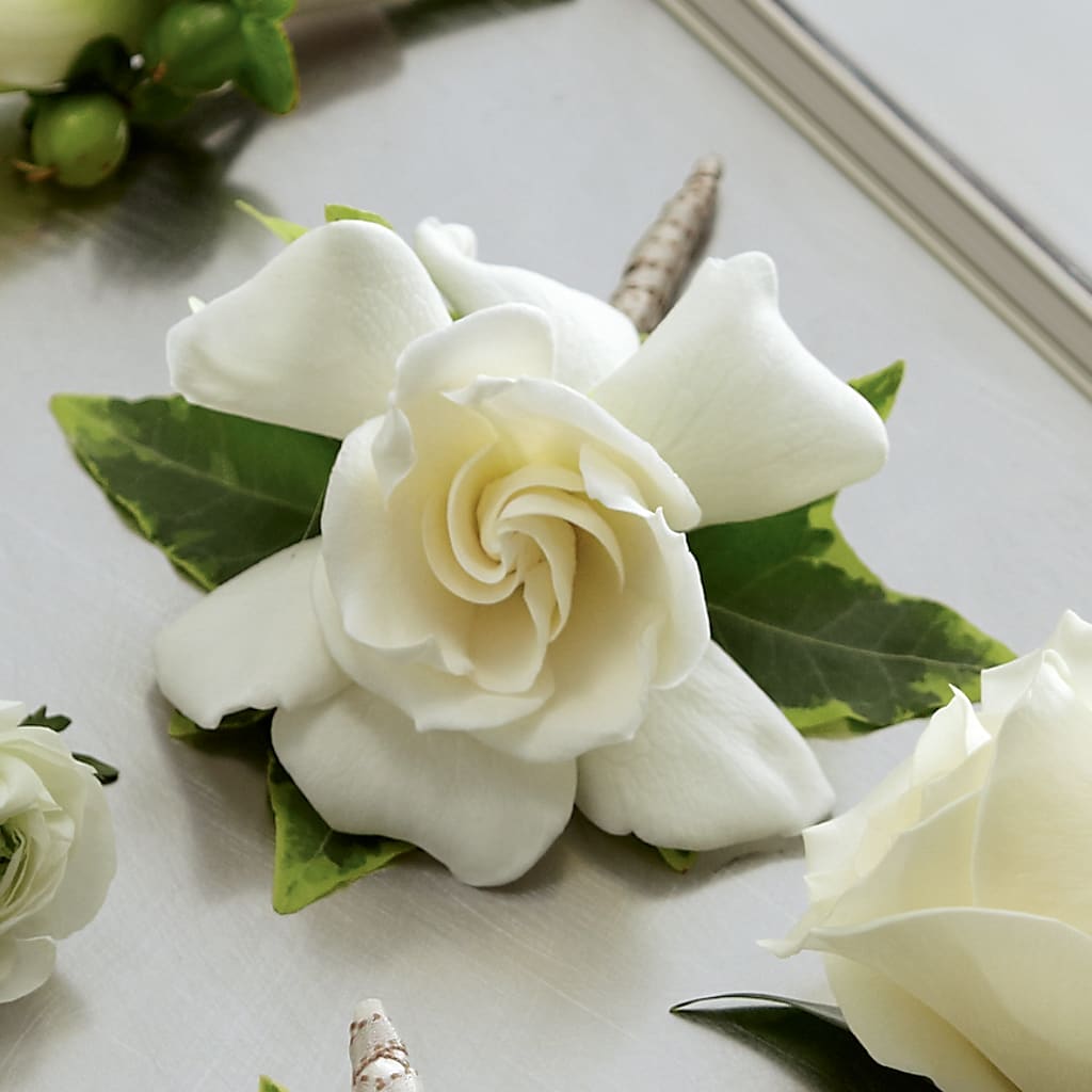 Gardenia Boutonniere – HOORAY'S FROM HOLLYWOOD, Hollywood FL