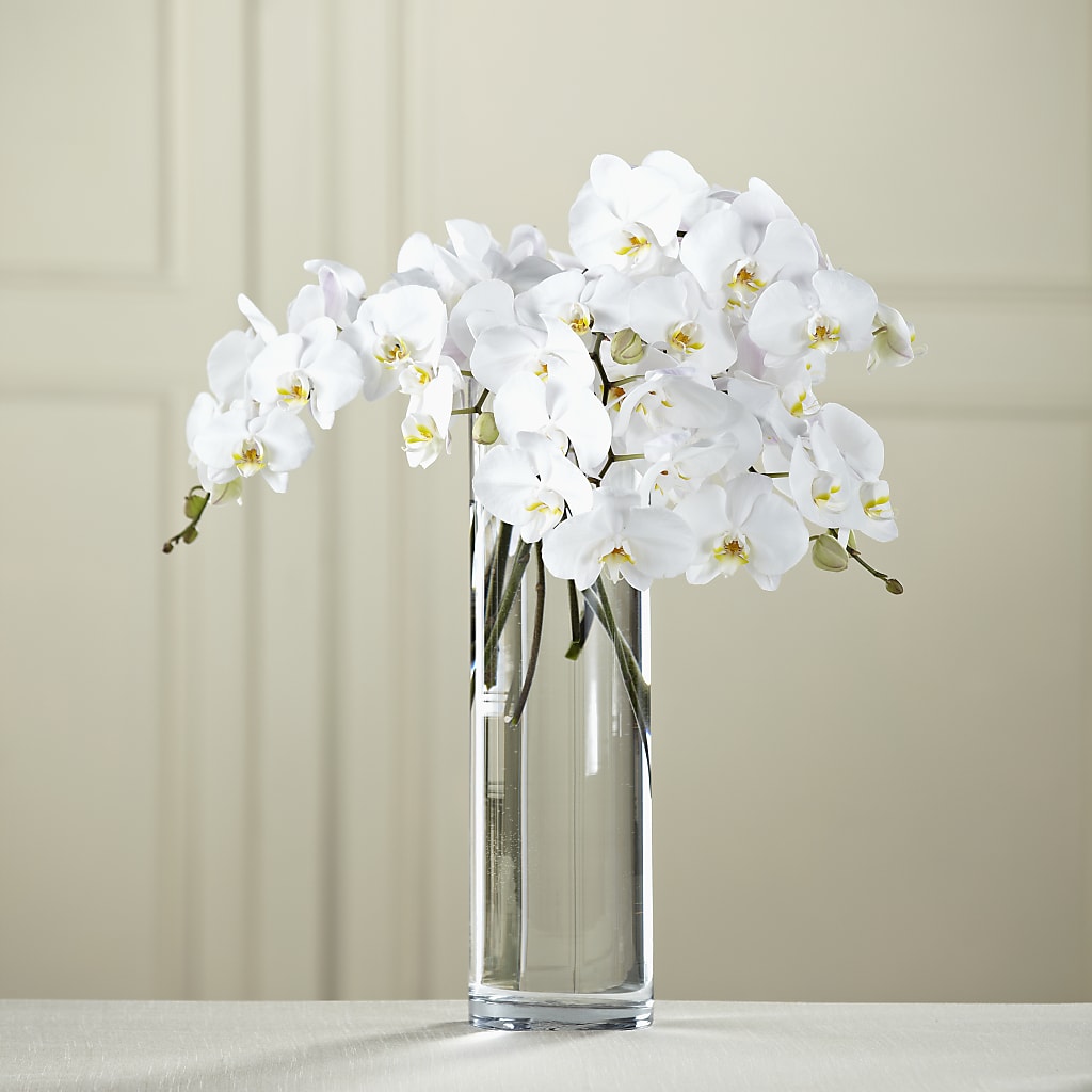 White Phalaenopsis Bouquet – HOORAY'S FROM HOLLYWOOD, Hollywood FL