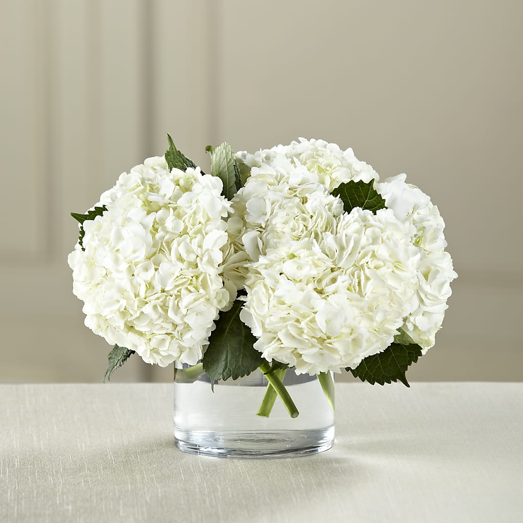 White Hydrangea Bouquet – HOORAY'S FROM HOLLYWOOD, Hollywood FL