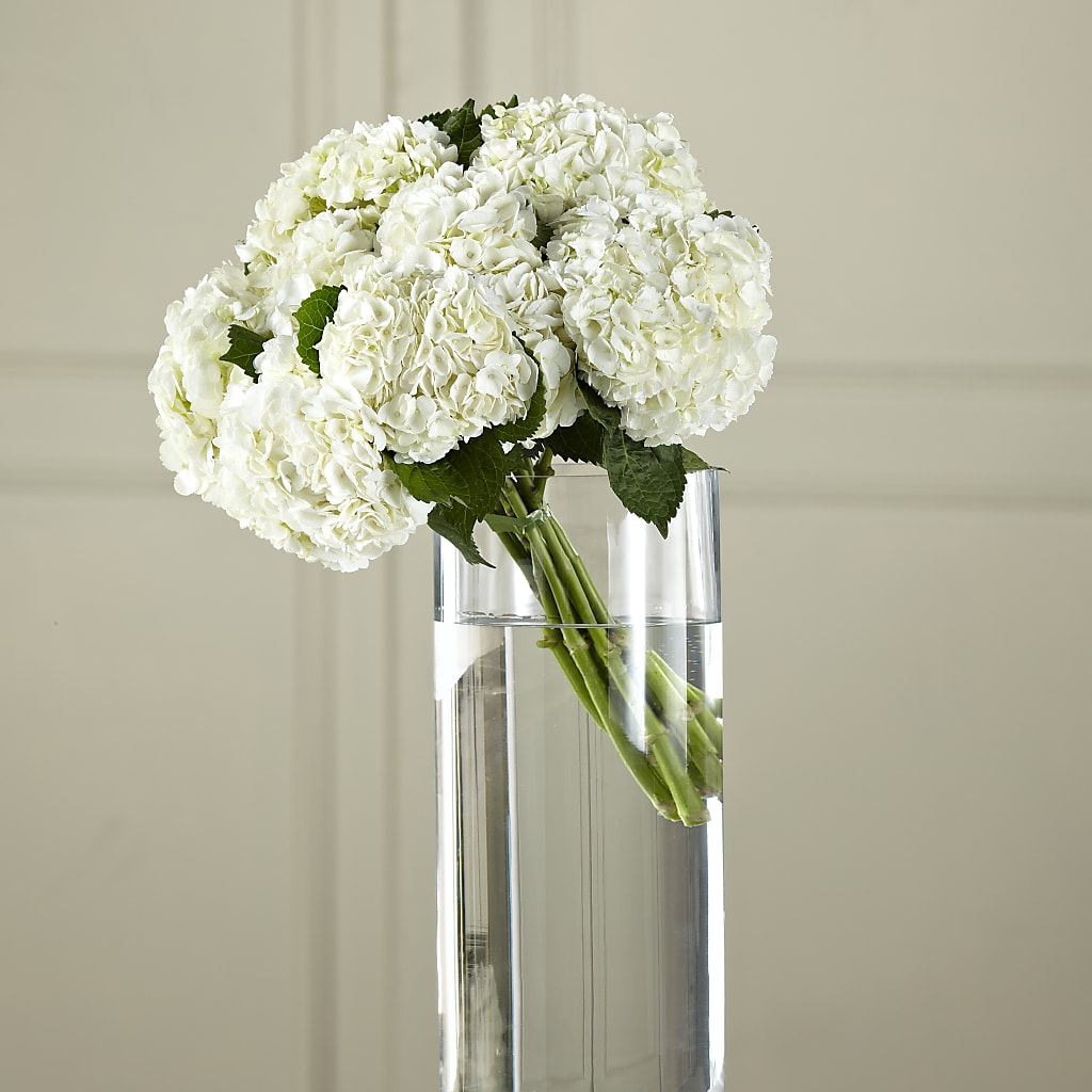 White Hydrangea Hand-Tied Bouquet – HOORAY'S FROM HOLLYWOOD, Hollywood FL