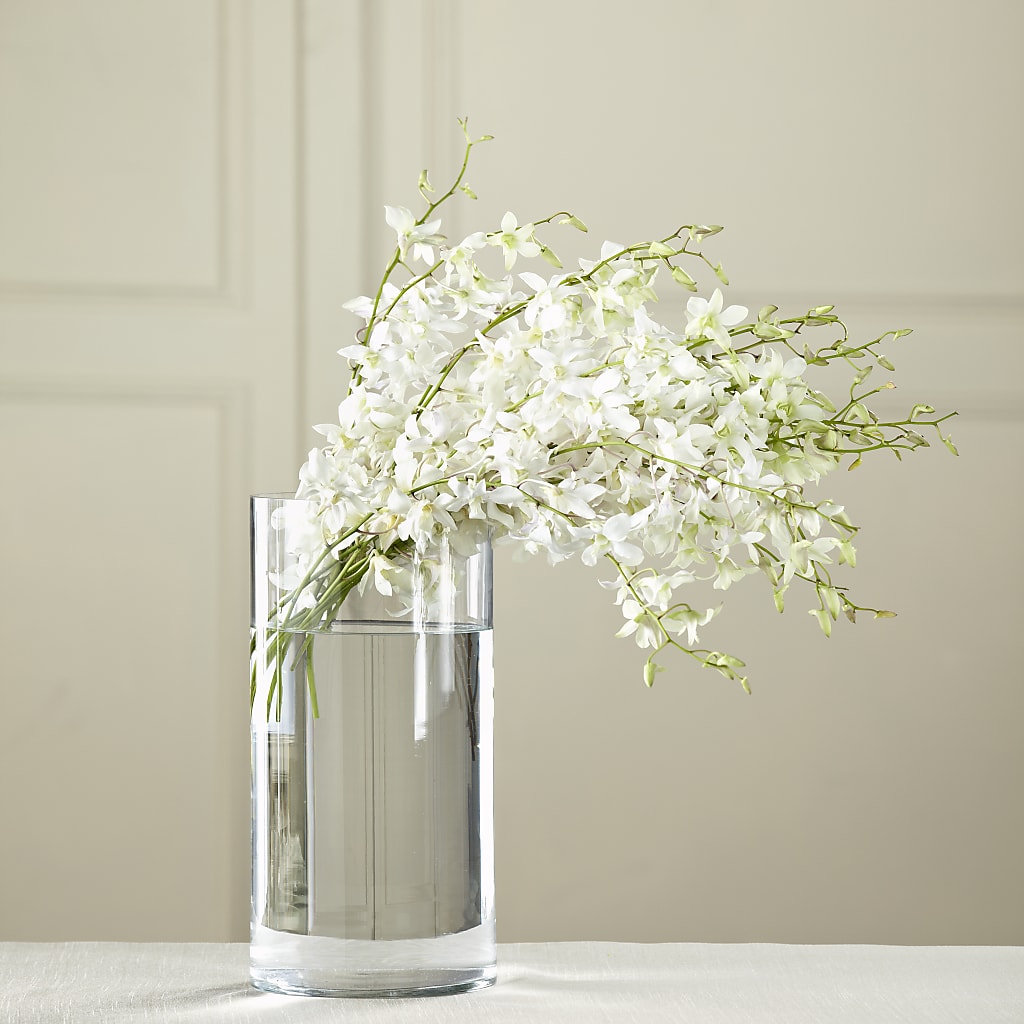 White Dendrobium Bouquet – HOORAY'S FROM HOLLYWOOD, Hollywood FL