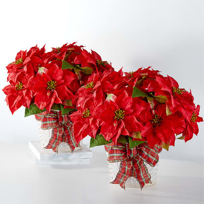 Happiest Holidays Poinsettia Bundle – HOORAY'S FROM HOLLYWOOD, Hollywood FL