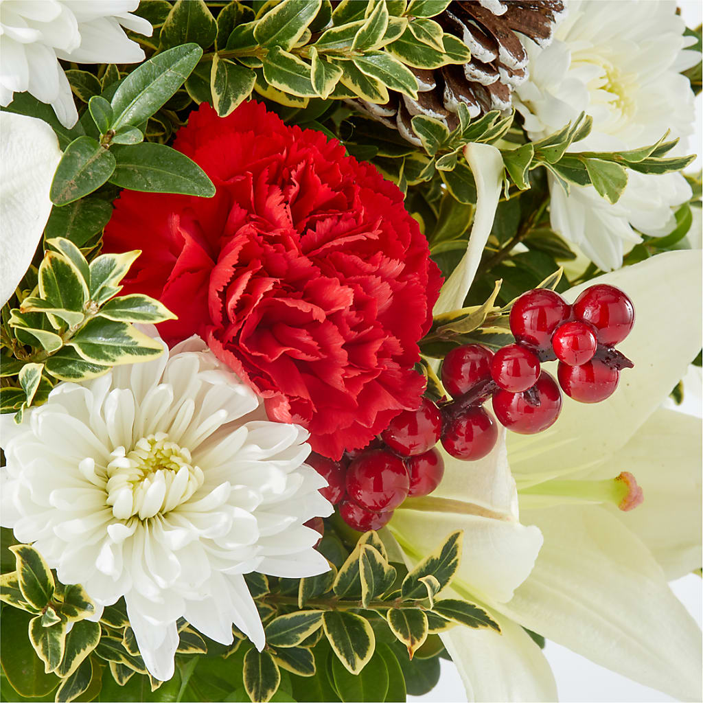 Festive Moments Tree – HOORAY'S FROM HOLLYWOOD, Hollywood FL