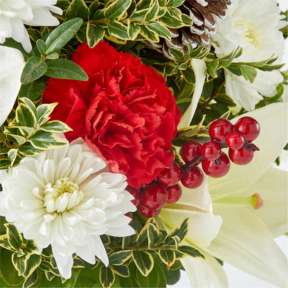 Festive Moments Tree – HOORAY'S FROM HOLLYWOOD, Hollywood FL