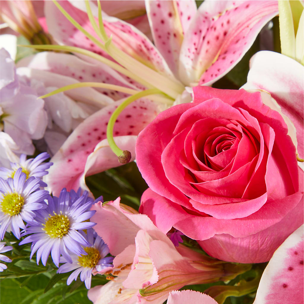 Pressing Petals Bouquet – HOORAY'S FROM HOLLYWOOD, Hollywood FL