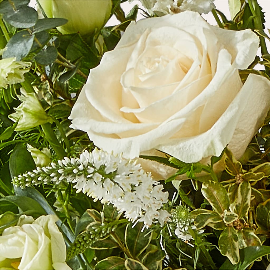 Cashmere Bouquet – HOORAY'S FROM HOLLYWOOD, Hollywood FL