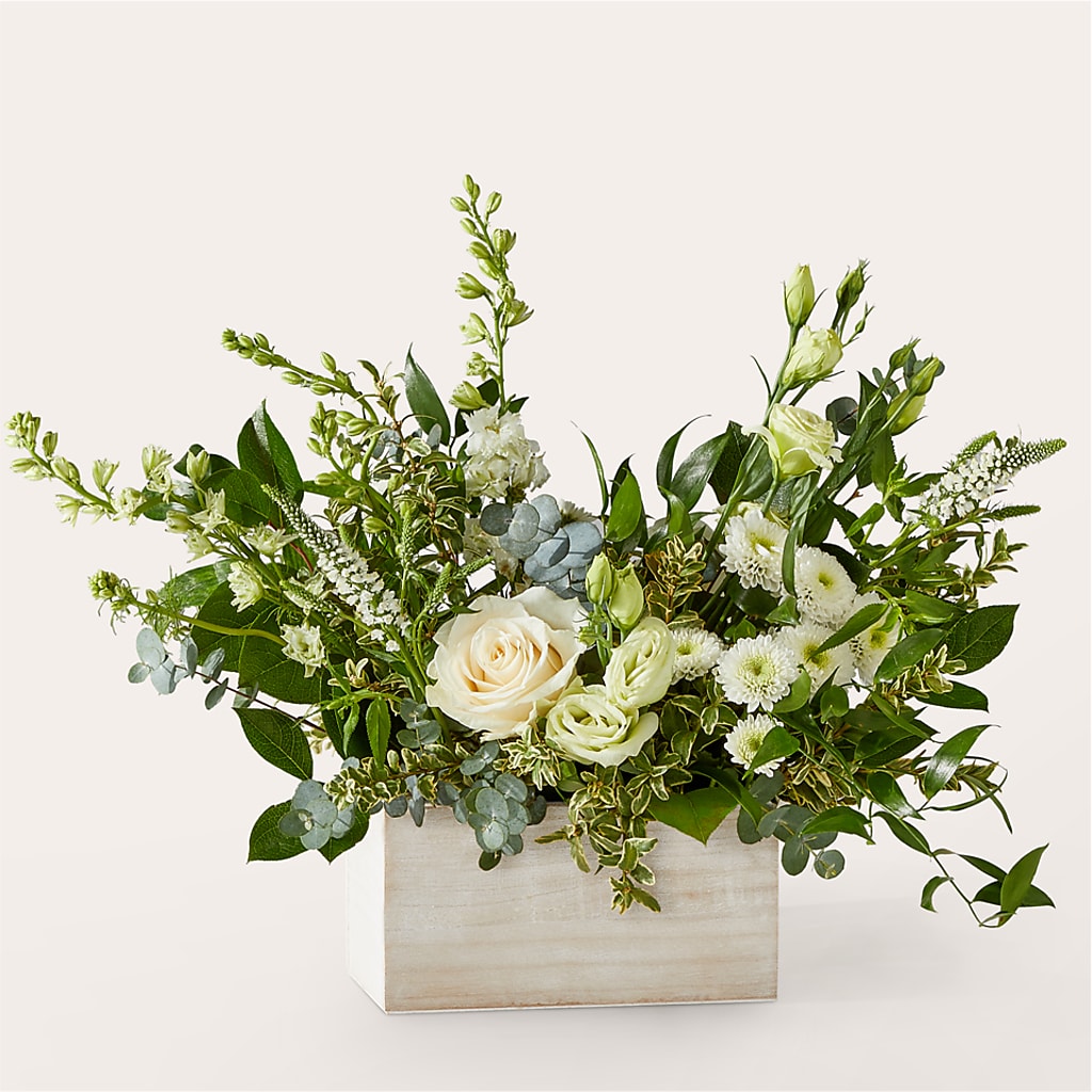 Cashmere Bouquet – HOORAY'S FROM HOLLYWOOD, Hollywood FL