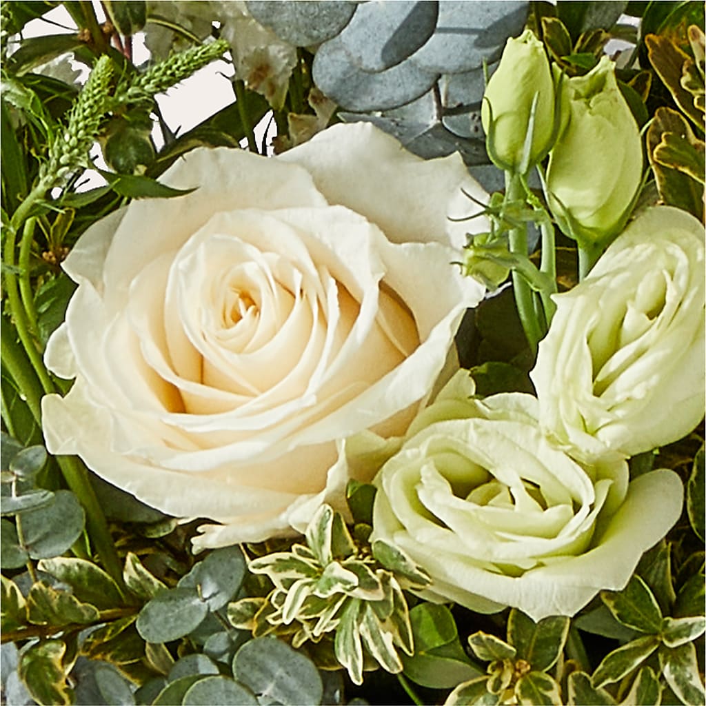 Cashmere Bouquet – HOORAY'S FROM HOLLYWOOD, Hollywood FL