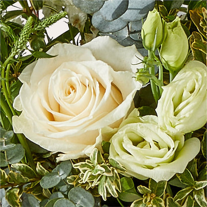Cashmere Bouquet – HOORAY'S FROM HOLLYWOOD, Hollywood FL