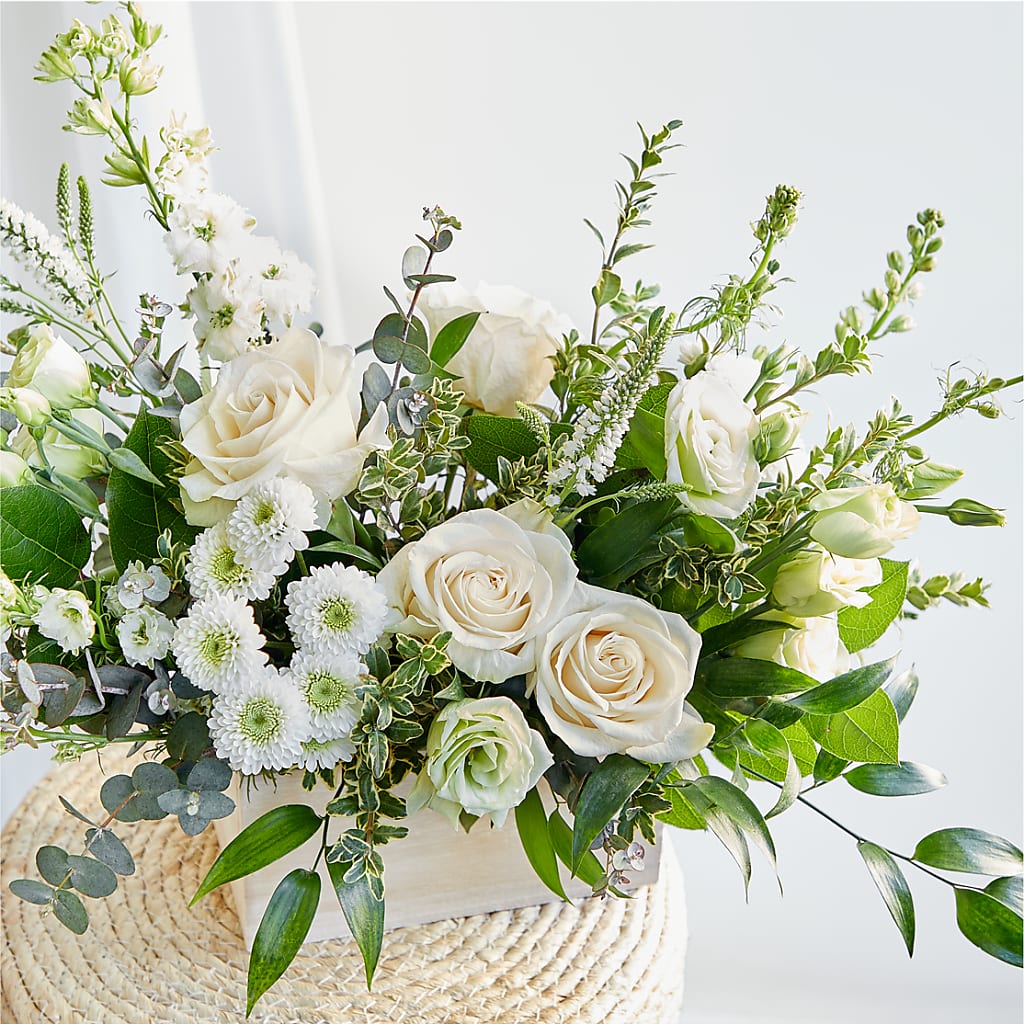 Cashmere Bouquet – HOORAY'S FROM HOLLYWOOD, Hollywood FL