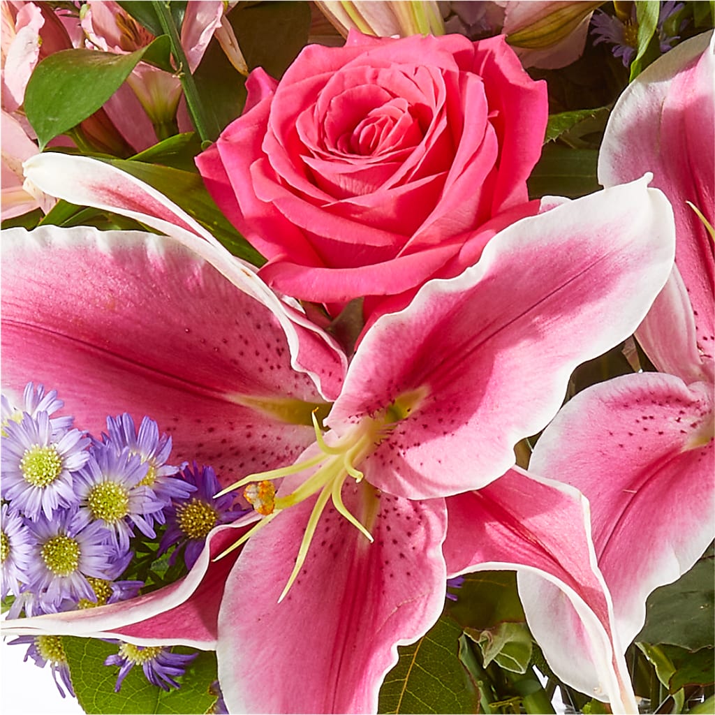 Written in the Stars Bouquet – HOORAY'S FROM HOLLYWOOD, Hollywood FL