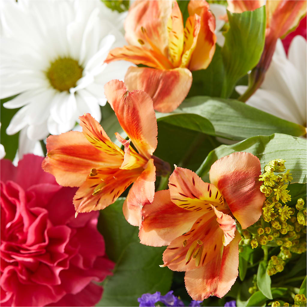 Oopsie Daisy Box Bouquet – HOORAY'S FROM HOLLYWOOD, Hollywood FL