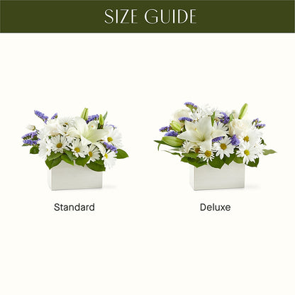 Beyond Blue Box Bouquet – HOORAY'S FROM HOLLYWOOD, Hollywood FL