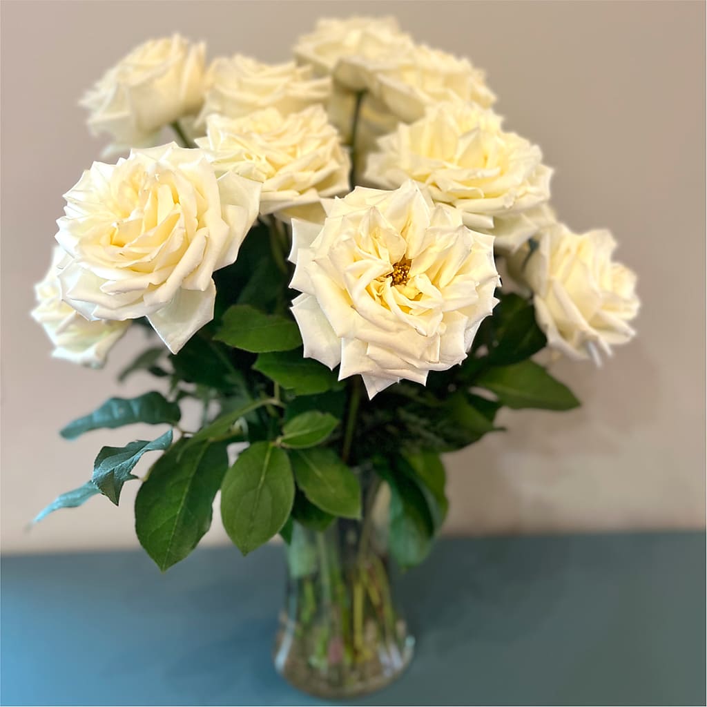 Long Stem Yellow Rose Bouquet – HOORAY'S FROM HOLLYWOOD, Hollywood FL