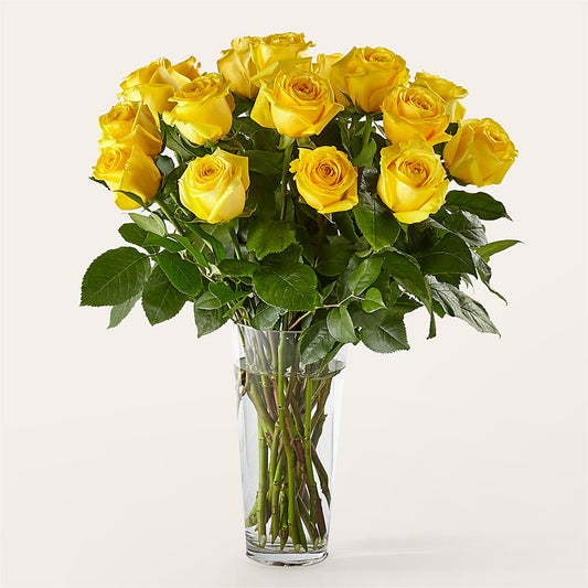 Long Stem Yellow Rose Bouquet – HOORAY'S FROM HOLLYWOOD, Hollywood FL