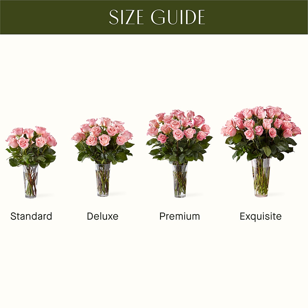 Long Stem Pink Rose Bouquet – HOORAY'S FROM HOLLYWOOD, Hollywood FL