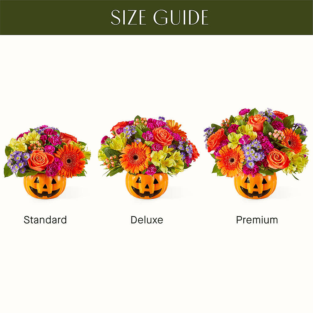 Tricks & Treats Pumpkin – HOORAY'S FROM HOLLYWOOD, Hollywood FL