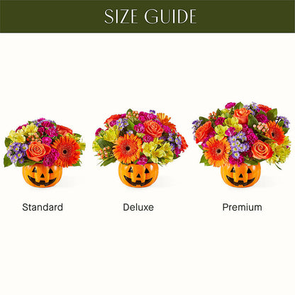 Tricks & Treats Pumpkin – HOORAY'S FROM HOLLYWOOD, Hollywood FL