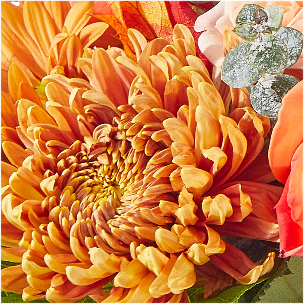 Scenic Route Bouquet – HOORAY'S FROM HOLLYWOOD, Hollywood FL