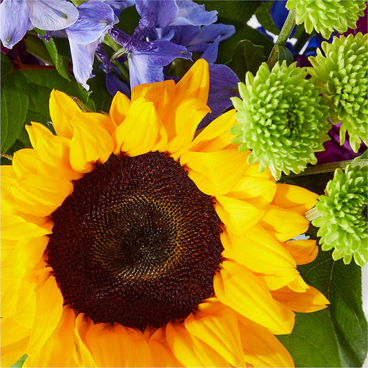 Catching Rays Bouquet – HOORAY'S FROM HOLLYWOOD, Hollywood FL