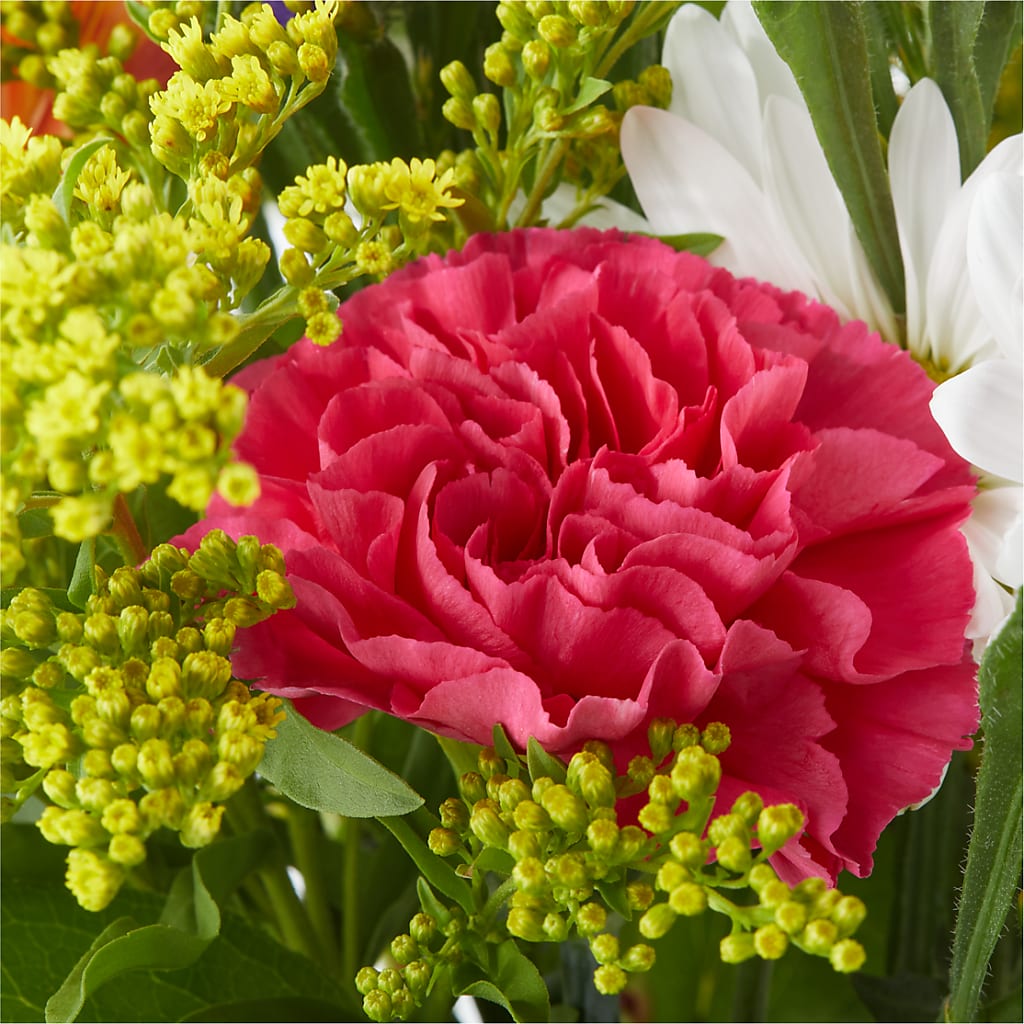 Oopsie Daisy Bouquet – HOORAY'S FROM HOLLYWOOD, Hollywood FL