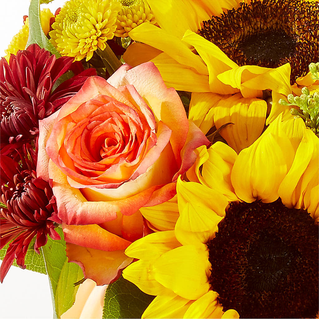 Golden Gourd Pumpkin Bouquet – HOORAY'S FROM HOLLYWOOD, Hollywood FL