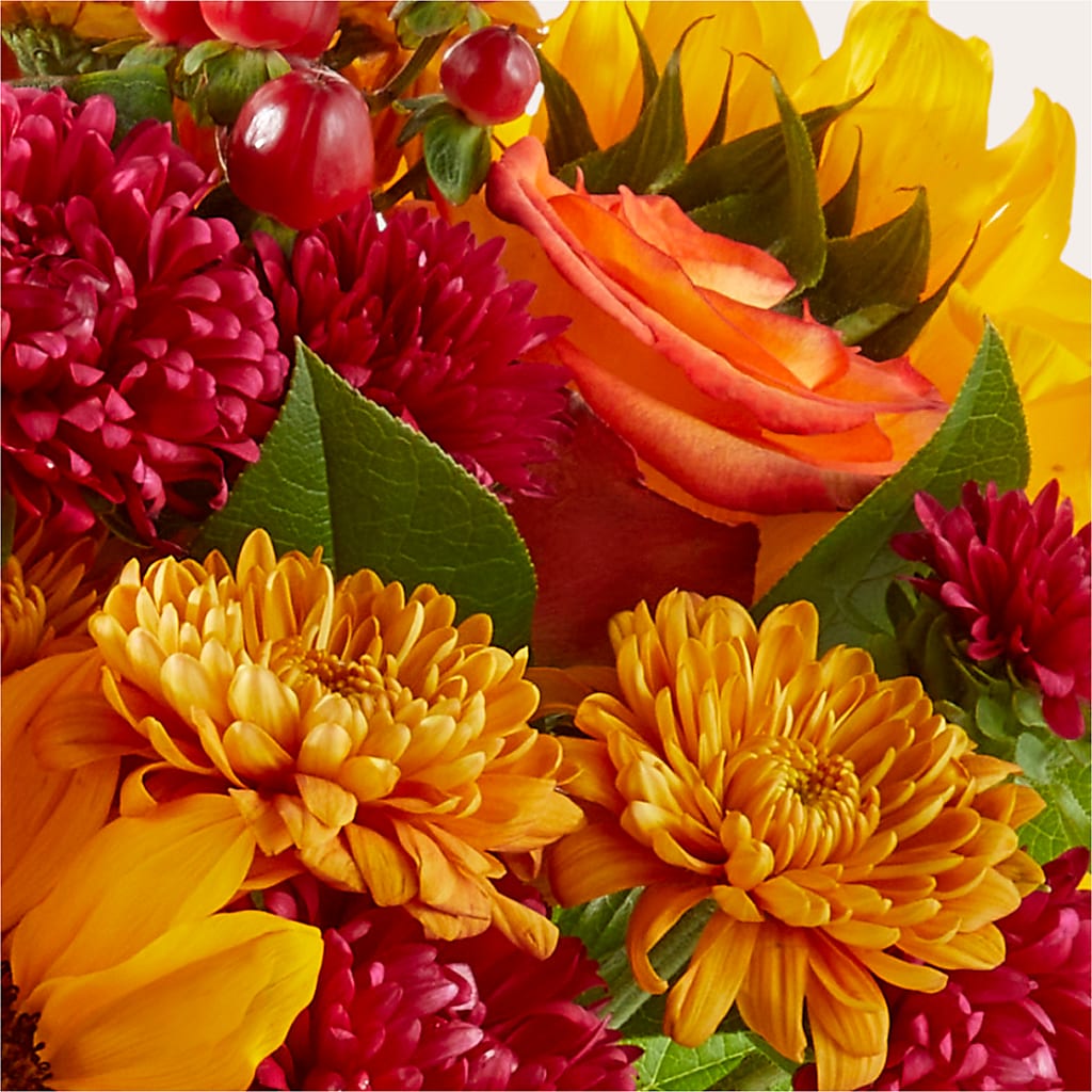 Sweater Season - A Florist Original – HOORAY'S FROM HOLLYWOOD, Hollywood FL