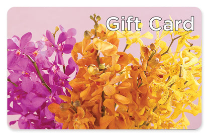 Gift Card – HOORAY'S FROM HOLLYWOOD, Hollywood FL