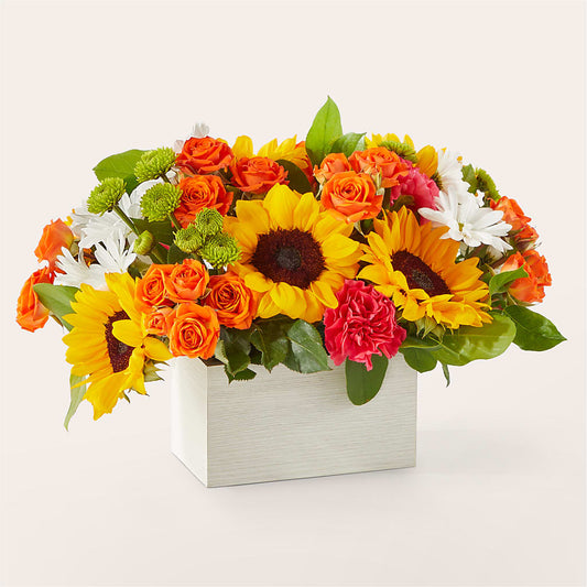 Sun-drenched Blooms Box Bouquet – HOORAY'S FROM HOLLYWOOD, Hollywood FL
