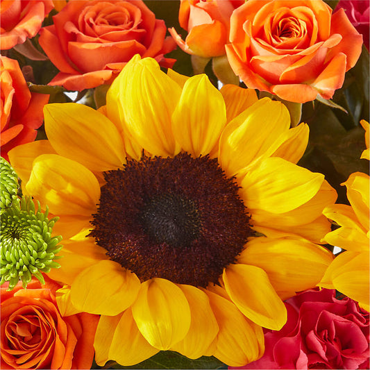 Sun-drenched Blooms Box Bouquet – HOORAY'S FROM HOLLYWOOD, Hollywood FL