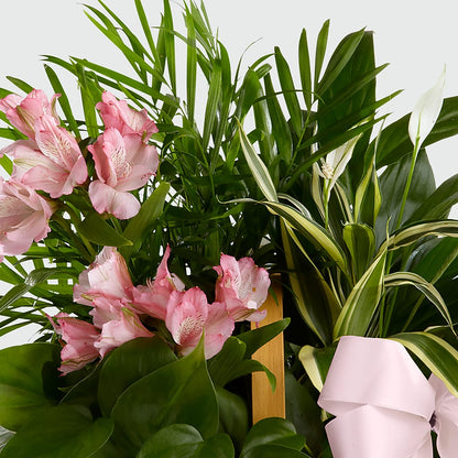 Living Spirit Dishgarden – HOORAY'S FROM HOLLYWOOD, Hollywood FL