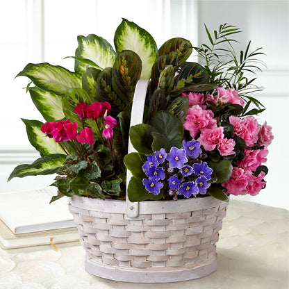Peaceful Garden Planter – HOORAY'S FROM HOLLYWOOD, Hollywood FL