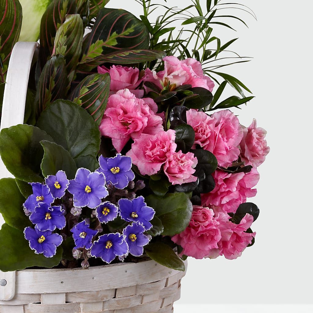 Peaceful Garden Planter – HOORAY'S FROM HOLLYWOOD, Hollywood FL