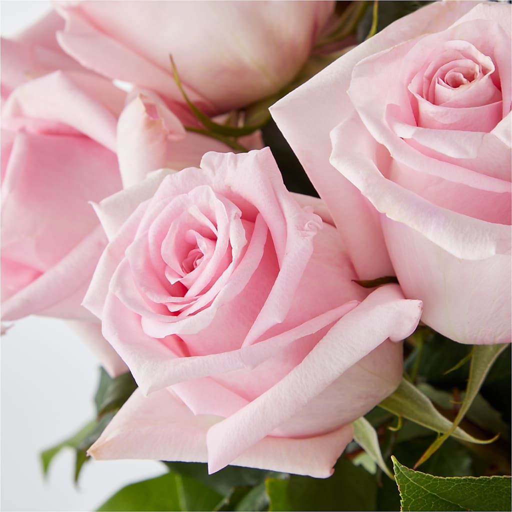 Picture Perfect Pink Rose Bouquet – HOORAY'S FROM HOLLYWOOD, Hollywood FL