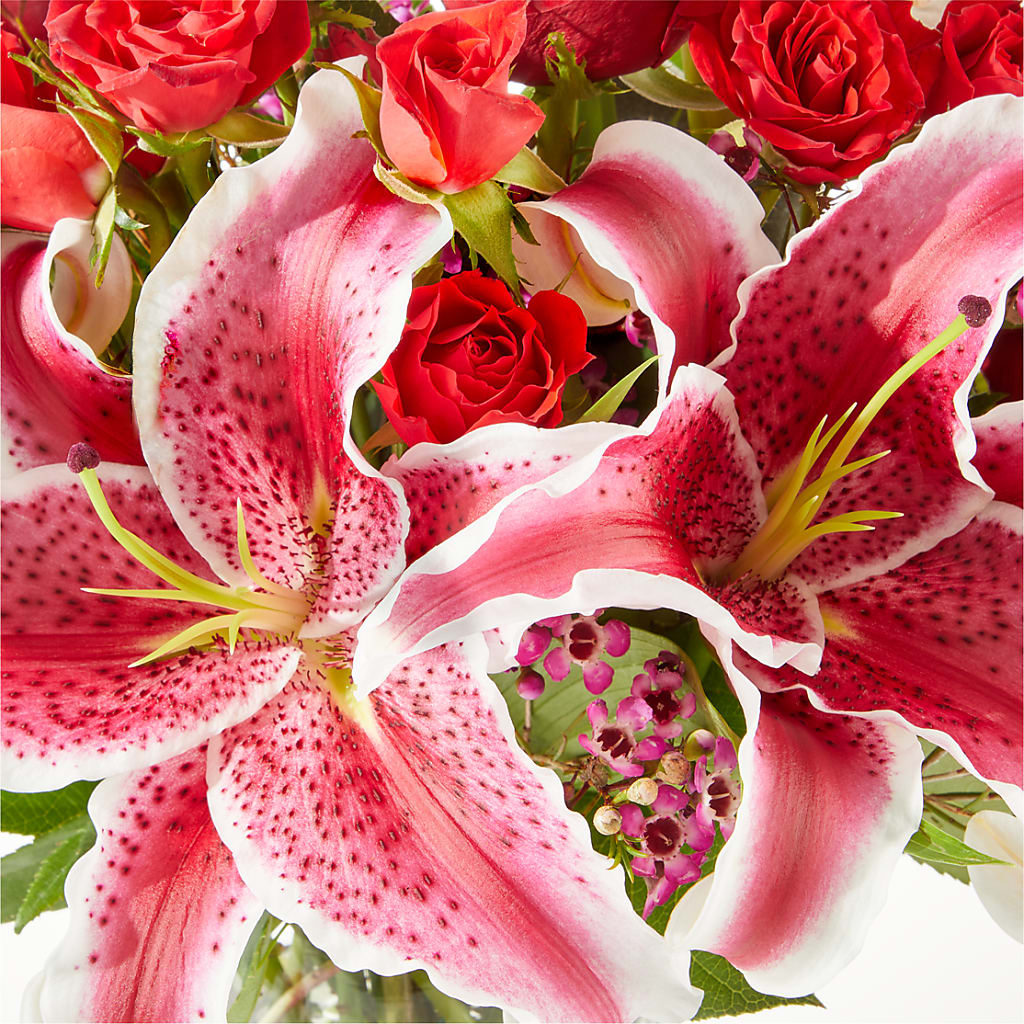 Match Made in Heaven Bouquet – HOORAY'S FROM HOLLYWOOD, Hollywood FL