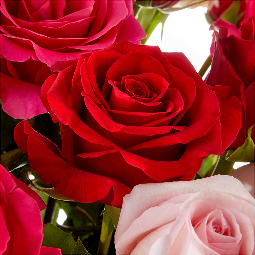 Love Notes Rose Bouquet – HOORAY'S FROM HOLLYWOOD, Hollywood FL
