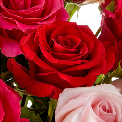 Love Notes Rose Bouquet – HOORAY'S FROM HOLLYWOOD, Hollywood FL