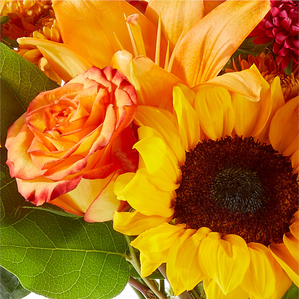 Fall Day Bouquet – HOORAY'S FROM HOLLYWOOD, Hollywood FL