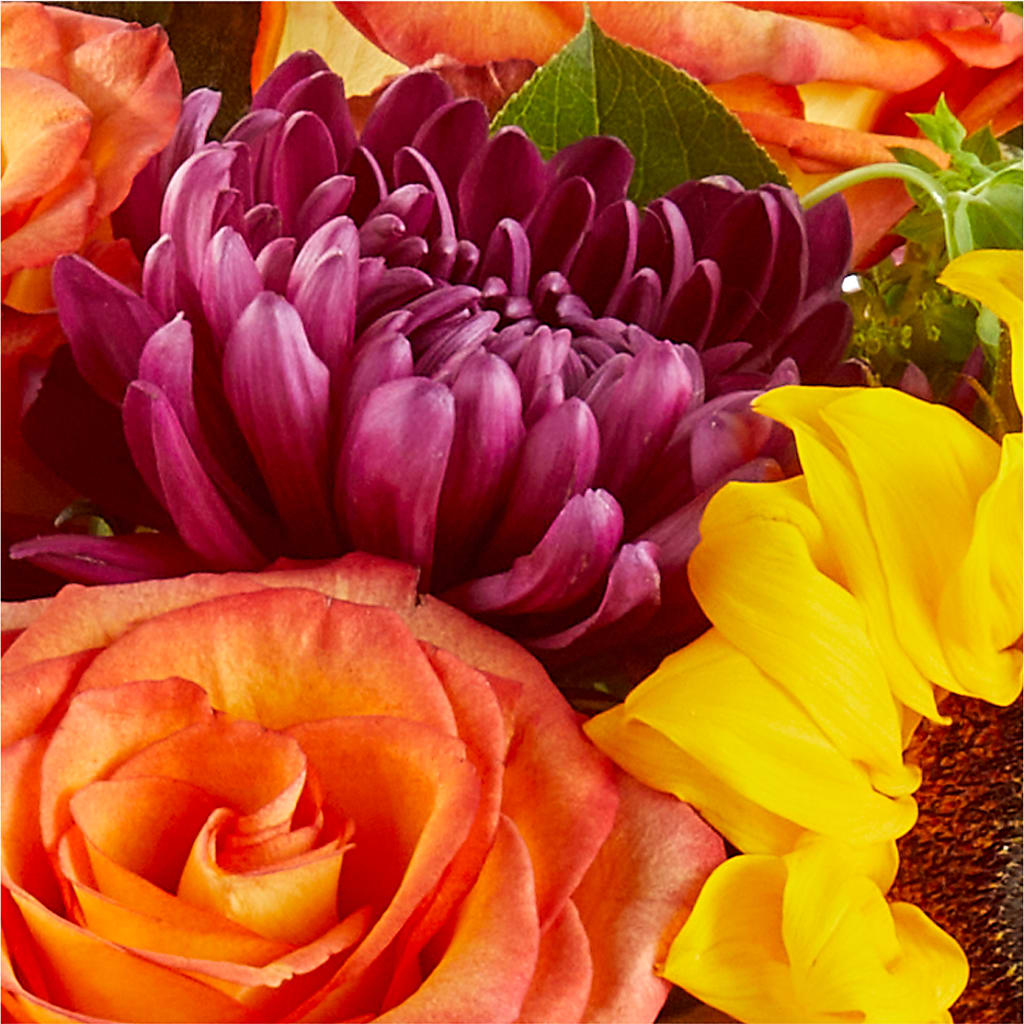Nature Walk Bouquet – HOORAY'S FROM HOLLYWOOD, Hollywood FL