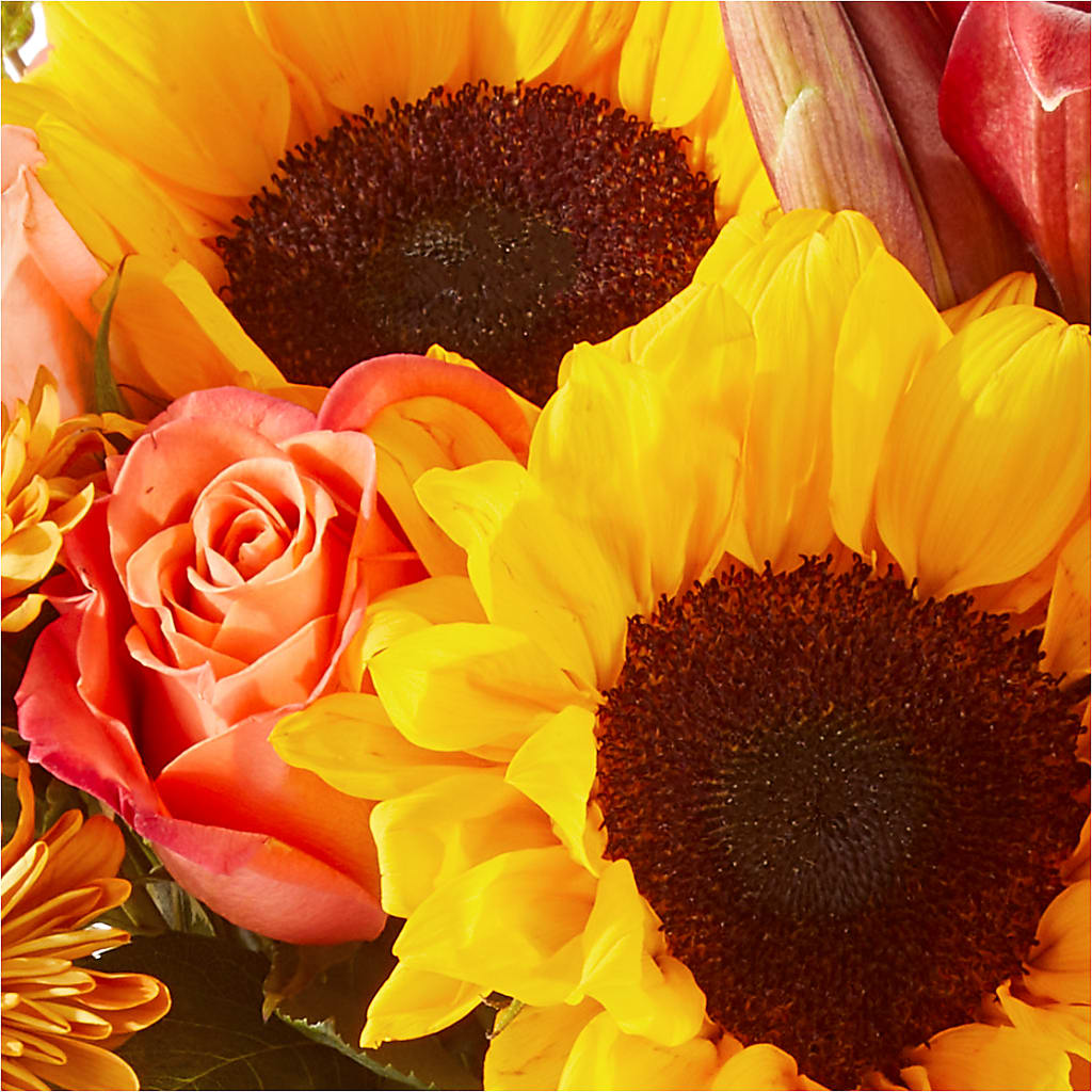 Acorn Lane Bouquet – HOORAY'S FROM HOLLYWOOD, Hollywood FL