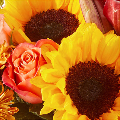 Acorn Lane Bouquet – HOORAY'S FROM HOLLYWOOD, Hollywood FL