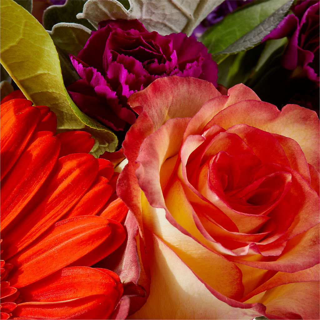 Sangria Bouquet – HOORAY'S FROM HOLLYWOOD, Hollywood FL