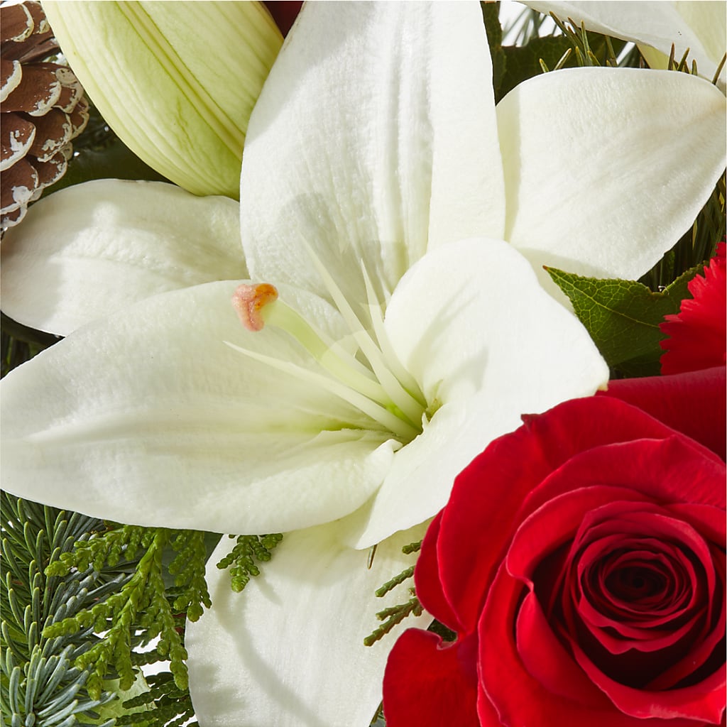 Oh So Jolly Bouquet – HOORAY'S FROM HOLLYWOOD, Hollywood FL